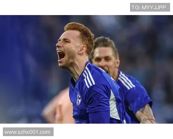 沙尔克04：德甲保级之路岌岌可危，球队陷入泥潭难脱身