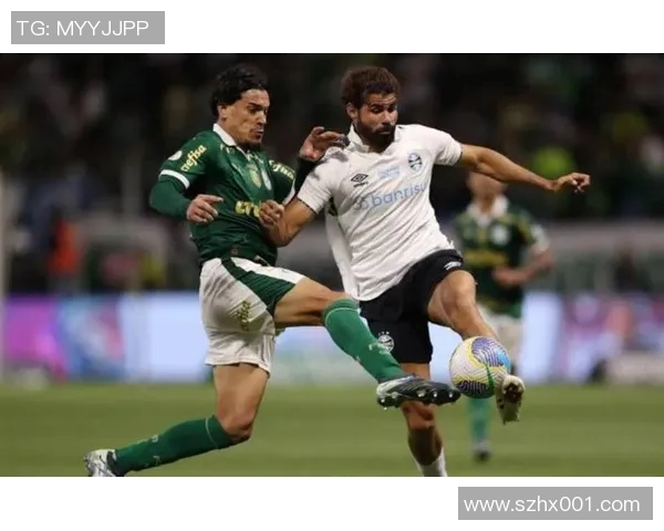 桑多斯与帕梅拉斯激战在即谁将赢得这场巴西足球巅峰对决 桑多斯与帕梅拉斯激战在即谁将赢得这场巴西足球巅峰对决