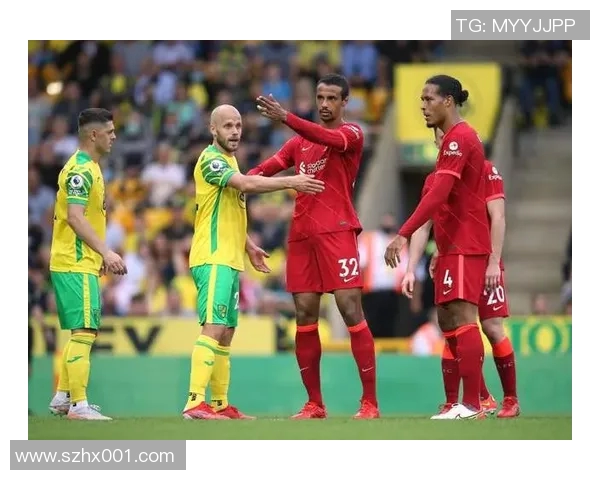 尼日利亚与几内亚老牛激战在即球迷热情高涨期待精彩对决 尼日利亚与几内亚老牛激战在即球迷热情高涨期待精彩对决