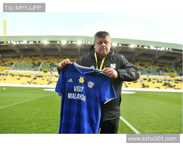 尼姆与南特对决比分预测分析及赛前形势评估