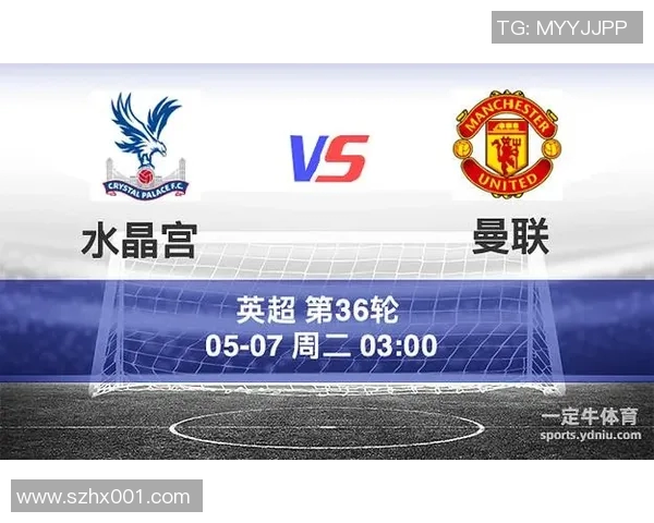 曼联对阵水晶宫比赛主裁判分析及裁判表现评估